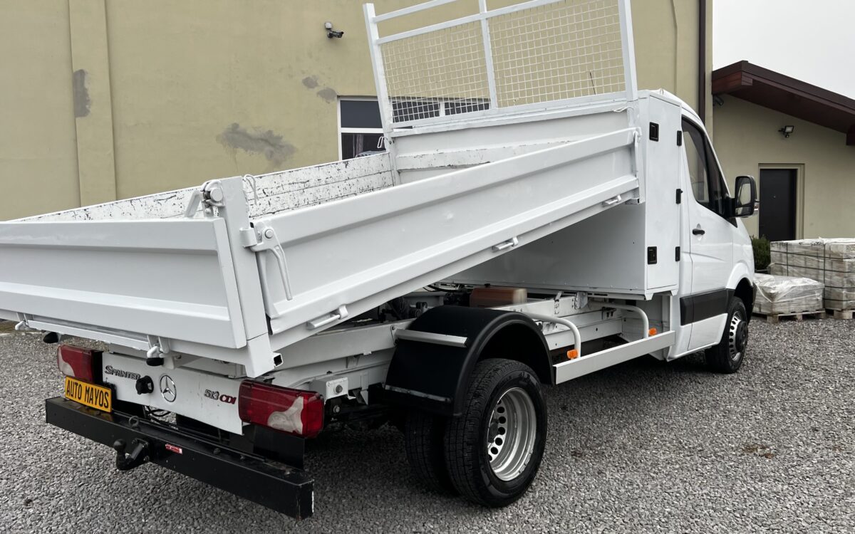 Mercedes-Benz Sprinter 513 CDI Basculabil 9