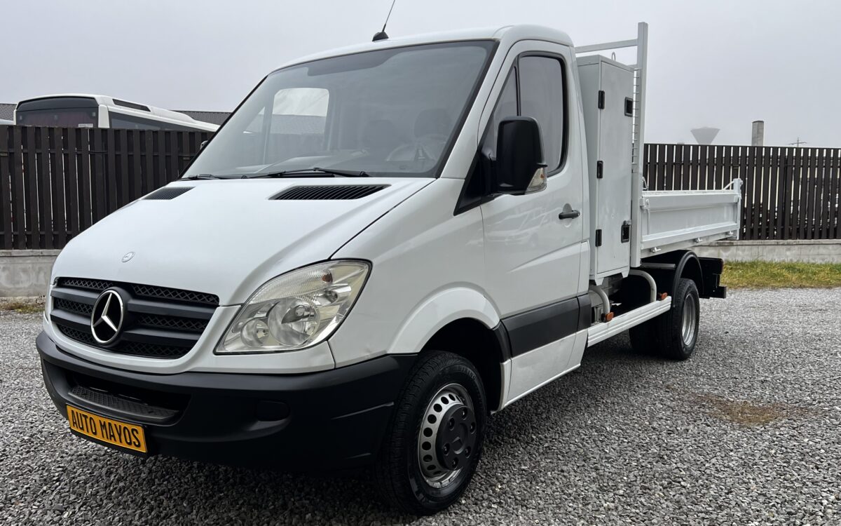 Mercedes-Benz Sprinter 513 CDI Basculabil 25